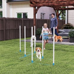 dog agility weave pole set exercise kit for outdoor training & fun