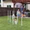 Dog Agility Weave Pole Set Exercise Kit For Outdoor Training Fun 0