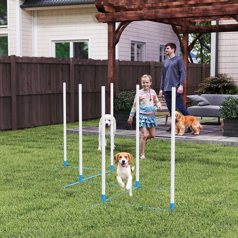 Dog Agility Weave Pole Set Exercise Kit For Outdoor Training Fun 0