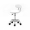Adjustable Hydraulic Swivel Salon Stool With Backrest For Barber Tattoo Spa Use 0