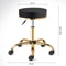 Premium Rolling Salon Stool With Swivel Adjustable 2