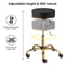 Premium Rolling Salon Stool With Swivel Adjustable 3