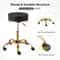 Premium Rolling Salon Stool With Swivel Adjustable 5