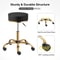 Premium Rolling Salon Stool With Swivel Adjustable 5