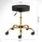 Premium Rolling Salon Stool With Swivel Adjustable 7