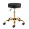 Premium Rolling Salon Stool With Swivel Adjustable 0