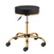 Premium Rolling Salon Stool With Swivel Adjustable 0