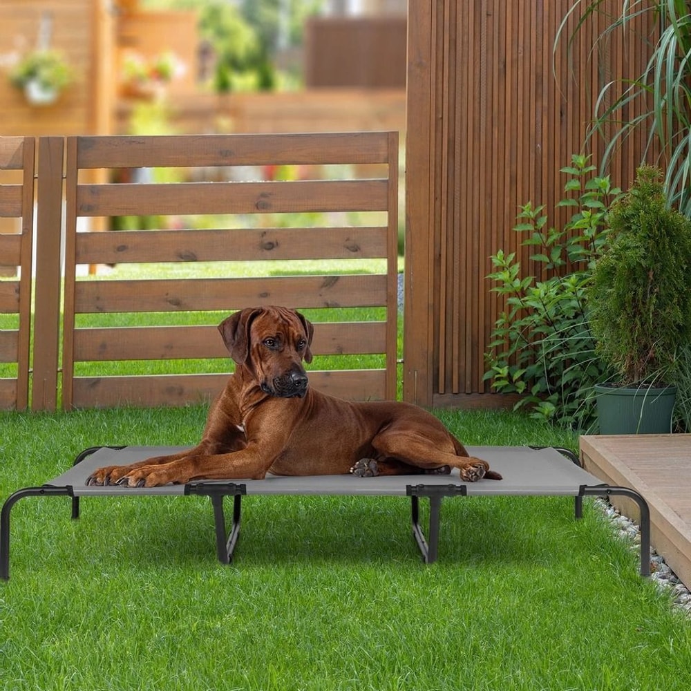 Elevated Dog Bed Durable Raised Pet Cot For Indoor Outdoor Use 1