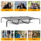 Elevated Dog Bed Durable Raised Pet Cot For Indoor Outdoor Use 2