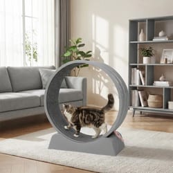 silent cat exercise wheel treadmill for weight loss & health, indoor treadmill for cats