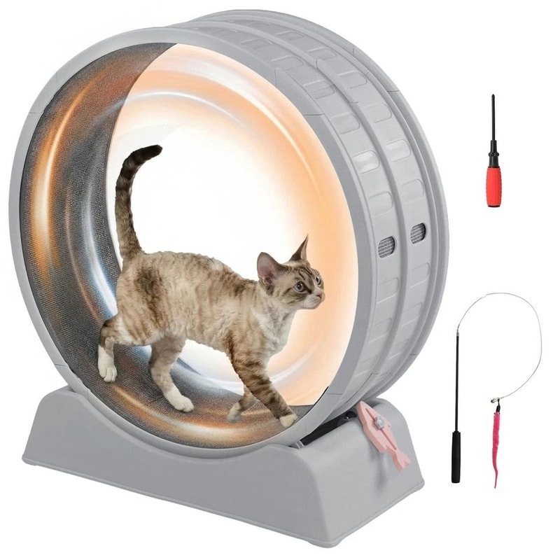 Silent Cat Exercise Wheel Treadmill For Weight Loss Health Indoor Treadmill For Cats 9