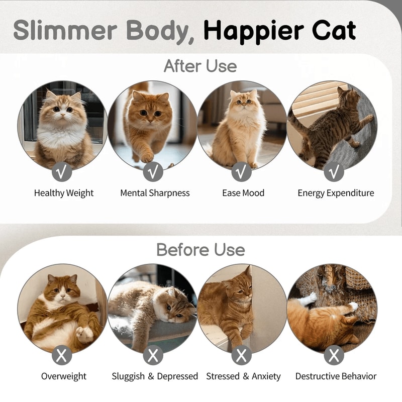 Silent Cat Exercise Wheel Treadmill For Weight Loss Health Indoor Treadmill For Cats 11