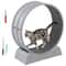 Silent Cat Exercise Wheel Treadmill For Weight Loss Health Indoor Treadmill For Cats 12