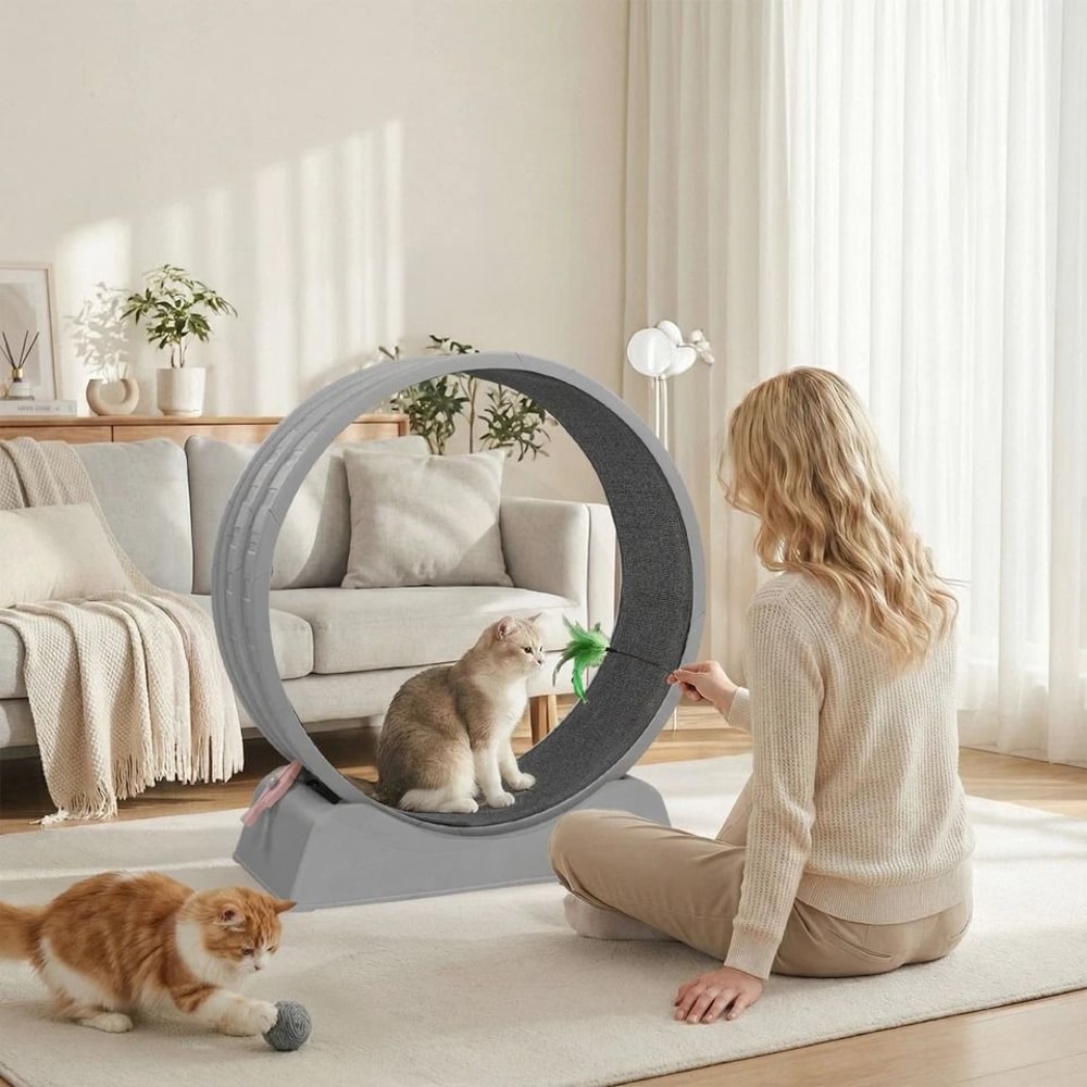 Silent Cat Exercise Wheel Treadmill For Weight Loss Health Indoor Treadmill For Cats 1