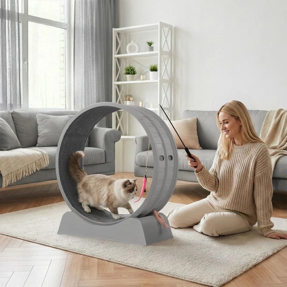 Silent Cat Exercise Wheel Treadmill For Weight Loss Health Indoor Treadmill For Cats 2