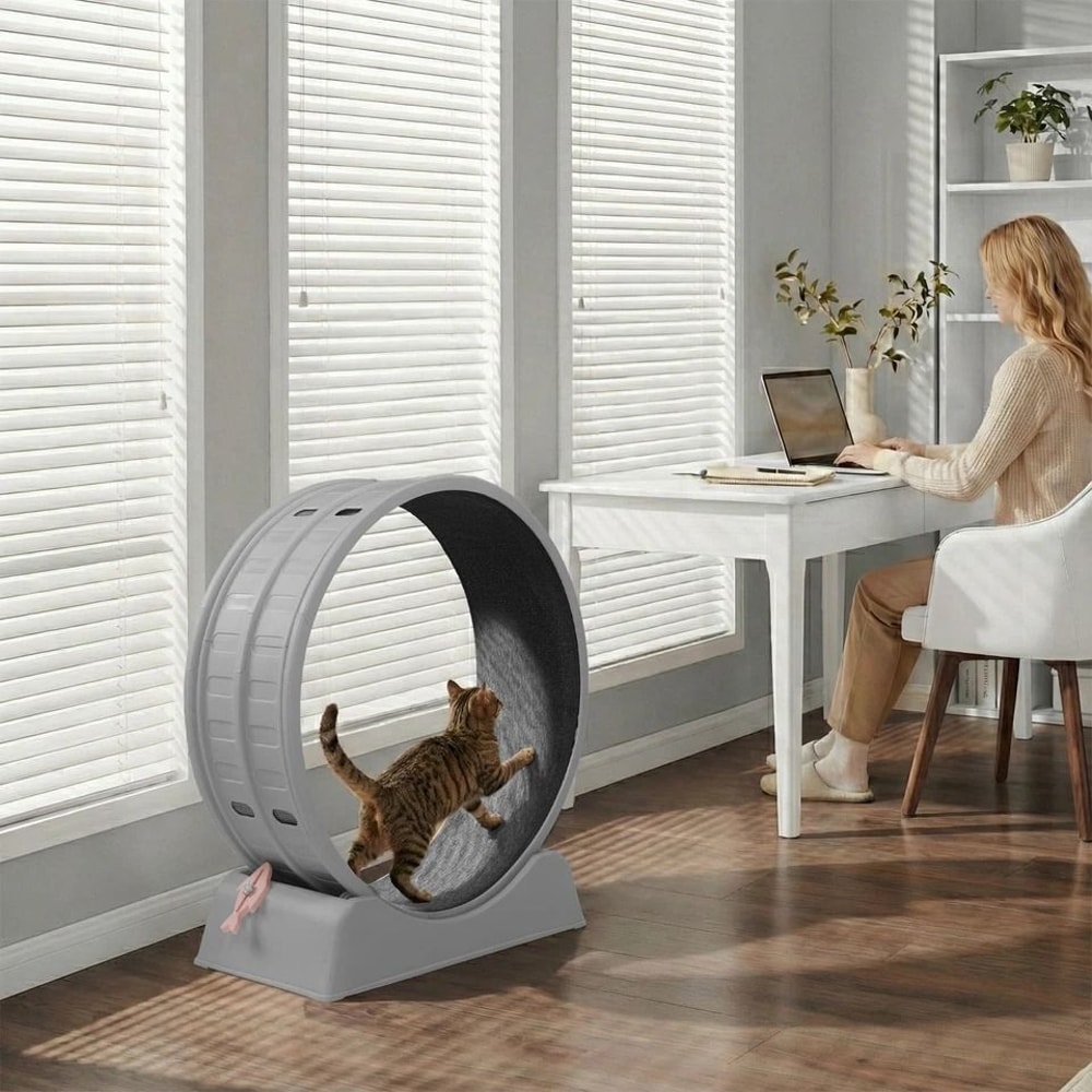 Silent Cat Exercise Wheel Treadmill For Weight Loss Health Indoor Treadmill For Cats 3