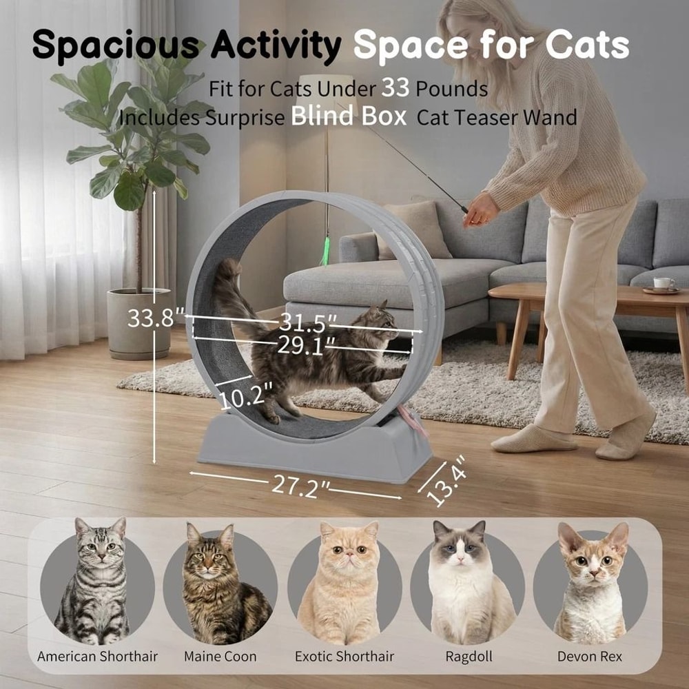 Silent Cat Exercise Wheel Treadmill For Weight Loss Health Indoor Treadmill For Cats 4