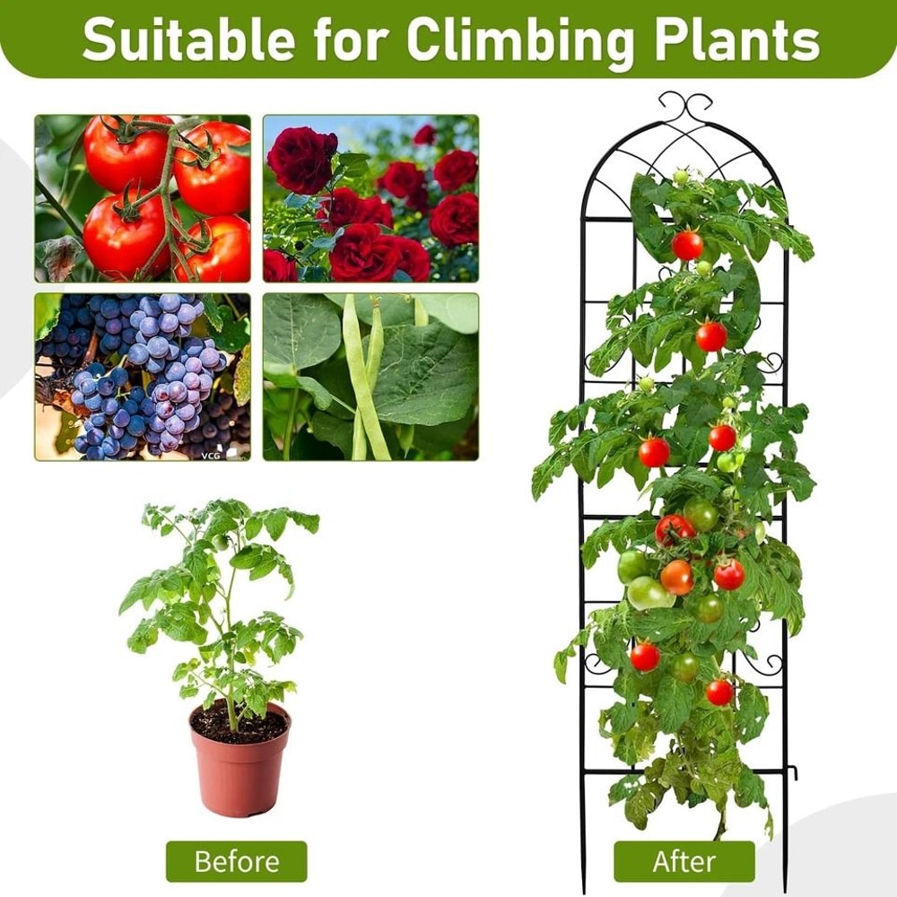 Rustproof Garden Trellis For Climbing Plants Durable Outdoor Plant Support 2