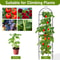 Rustproof Garden Trellis For Climbing Plants Durable Outdoor Plant Support 2