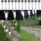 HighQuality Stainless Steel LED Solar Lights Outdoor Landscape Lighting With Bright White Illuminat 6