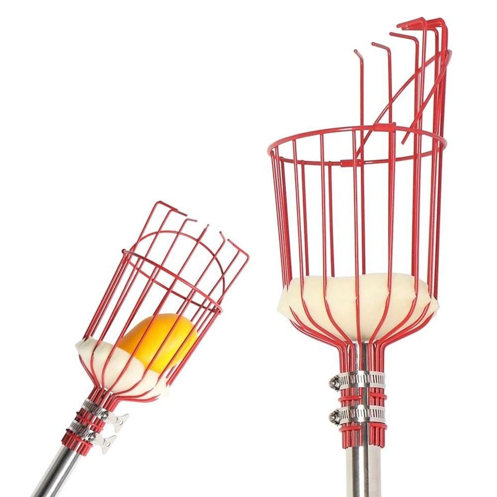 Adjustable Fruit Picker Tool With Basket Lightweight Stainless Steel Pole For Effortless Fruit Harv 1