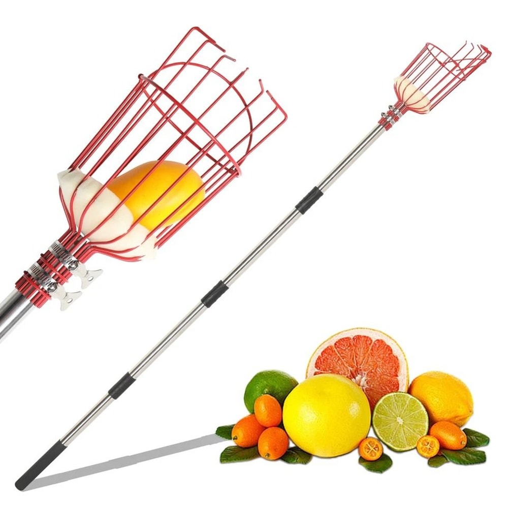 Adjustable Fruit Picker Tool With Basket Lightweight Stainless Steel Pole For Effortless Fruit Harv 2