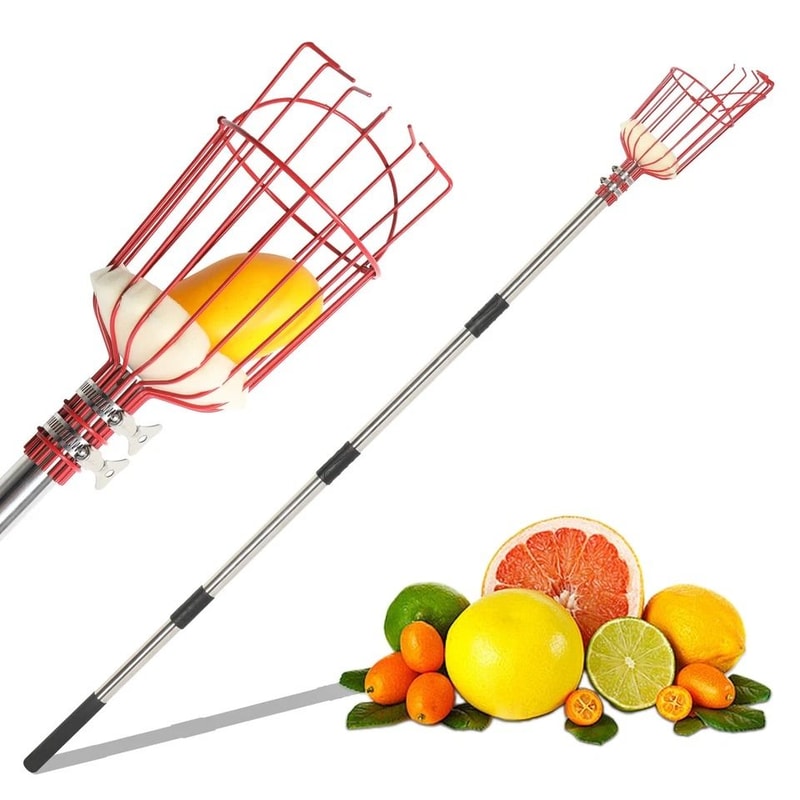Adjustable Fruit Picker Tool With Basket Lightweight Stainless Steel Pole For Effortless Fruit Harv 2