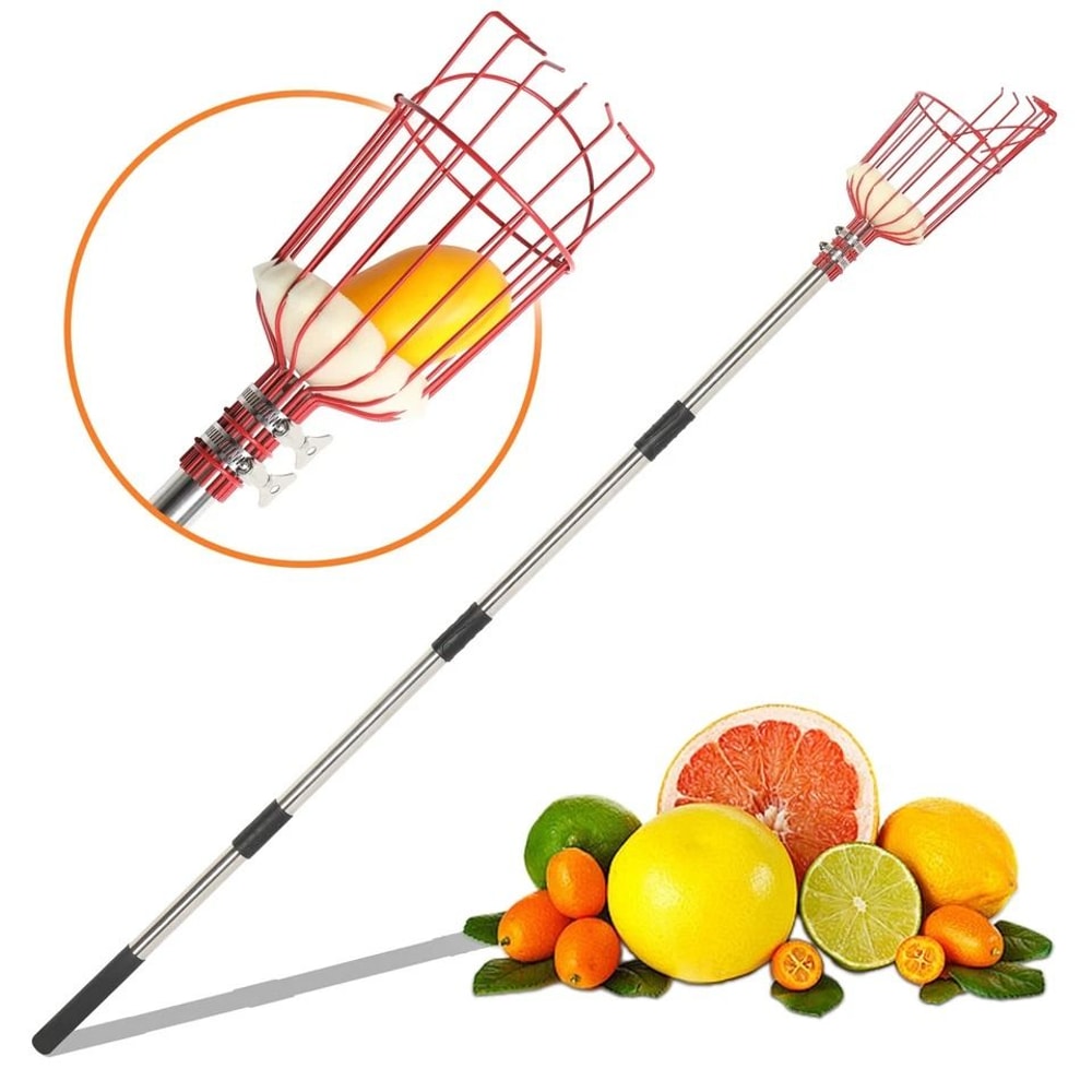 Adjustable Fruit Picker Tool With Basket Lightweight Stainless Steel Pole For Effortless Fruit Harv 3