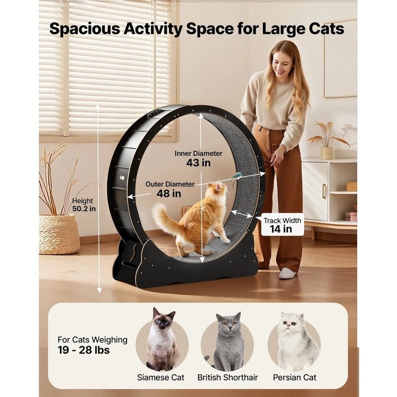 Wooden Cat Exercise Wheel Carpeted Runway For Indoor Play Physical Activity 1