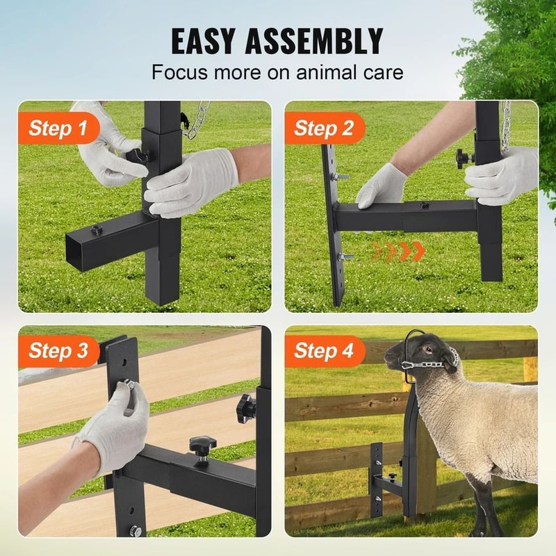 Adjustable Livestock Trimming Stand For Goats With Nose Loop Headpiece Ideal For Milking Trimming 4