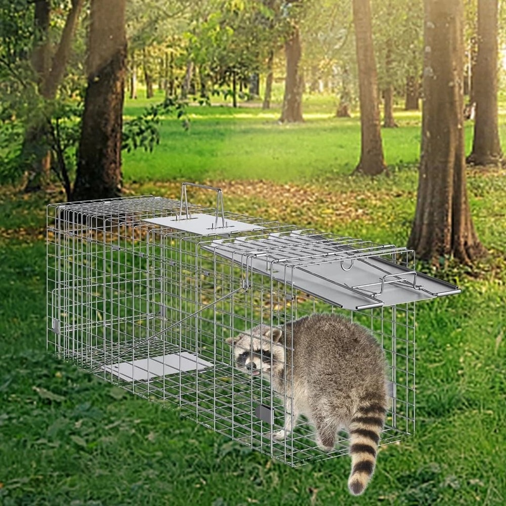 Live Animal Cage Trap Humane Trap For Cats Squirrels Mice More 6