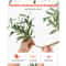 Artificial Olive Tree Faux Silk Potted Indoor Home Decor Plant 7