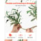 Artificial Olive Tree Faux Silk Potted Indoor Home Decor Plant 7