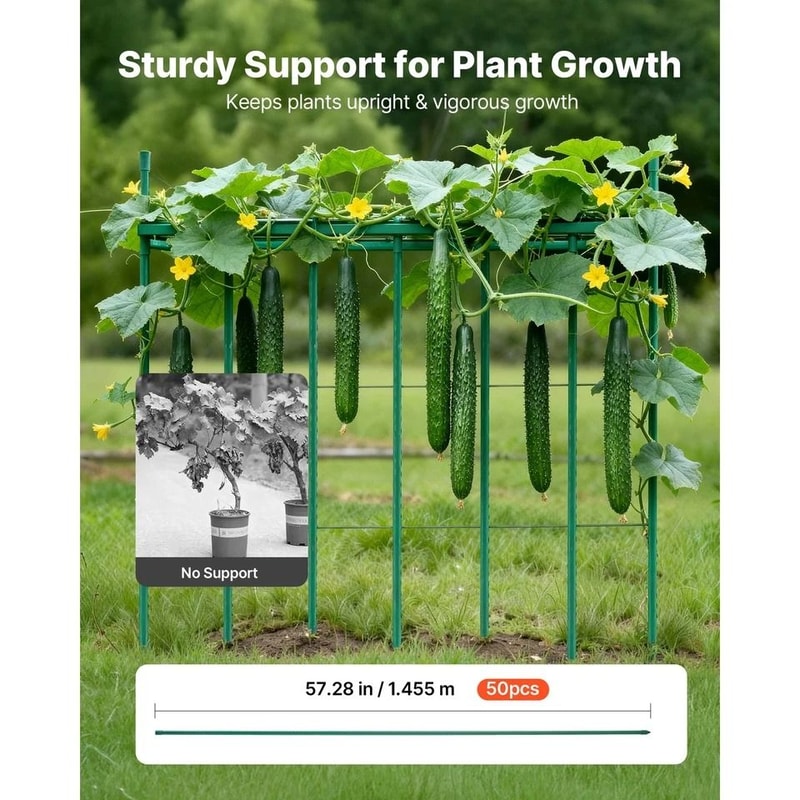 Durable Garden Stakes For Tomatoes Metal With Plastic Coating For Support 1