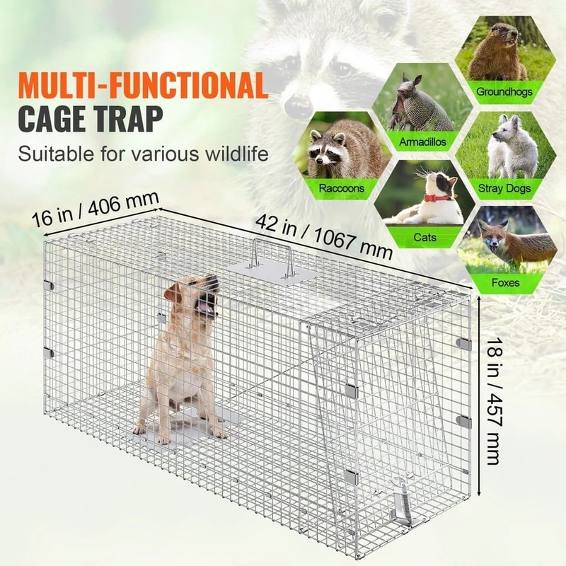 Humane Live Animal Cage Trap For Cats Squirrels And Small Rodents Safe Durable 1