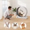 Cat Exercise Wheel Large Indoor Running Wheel Treadmill For Cats White 3