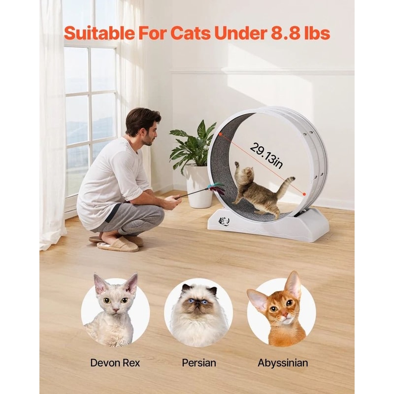 Cat Exercise Wheel Large Indoor Running Wheel Treadmill For Cats White 3
