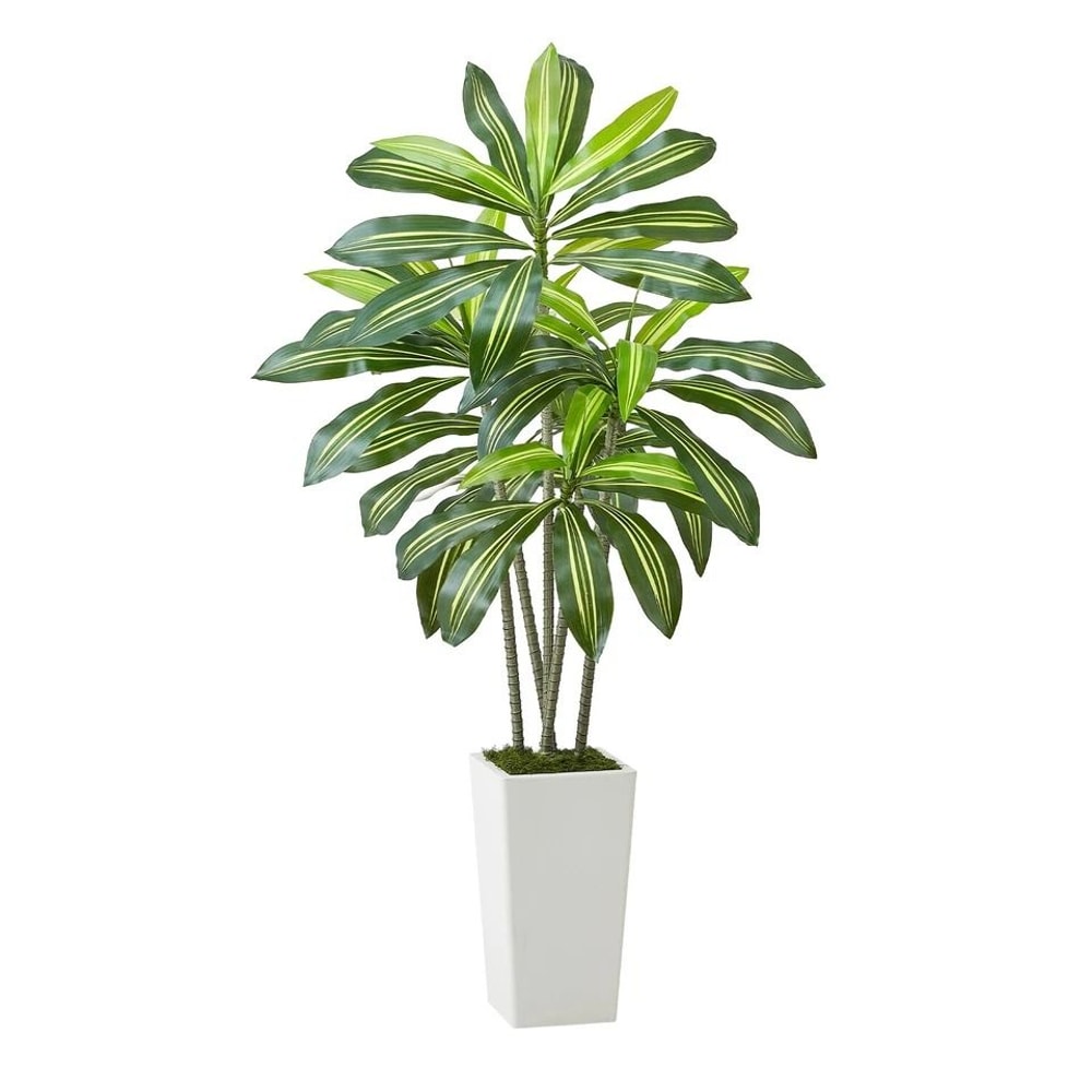 Artificial Dracaena Tree In Pot Faux Indoor Home Decor Plant For A Lush Green Ambience 0