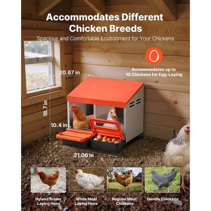 Chicken Nesting Box With Compartments For Egg Laying Durable Galvanized Steel Design For Hens 1