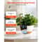 SelfWatering Hanging Planters For Indoor Outdoor Use Easy Care Planters 1