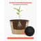 Resin Barrel Planter For Garden Flowers And Plants Large Garden Pot 3
