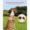 Adjustable NoPull Tactical Dog Harness For Large Dogs 1
