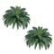 Artificial Boston Fern Plants Lifelike Home Decor For A Fresh Green Touch 0