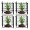 Animal Protector Metal Plant Cage Garden Defense 5
