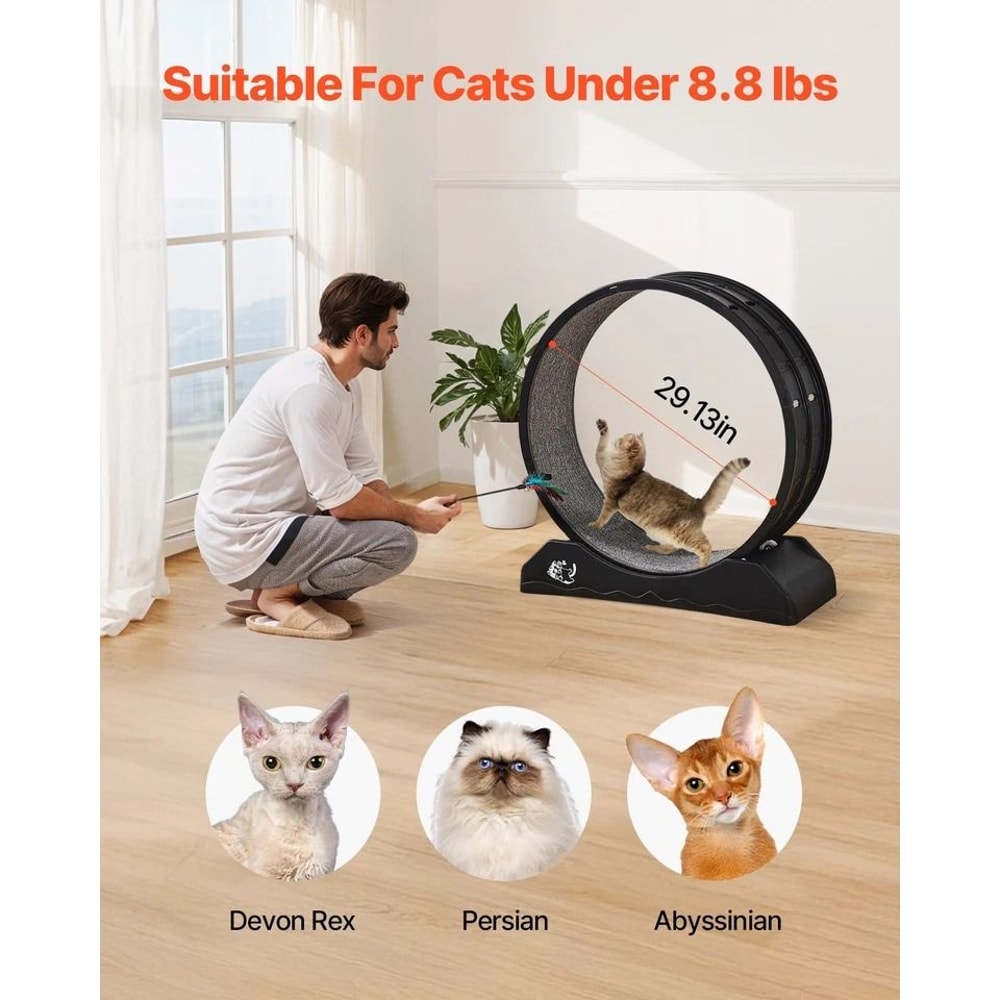 Large Cat Exercise Wheel Indoor Running Treadmill For Active Cats 2