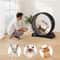 Large Cat Exercise Wheel Indoor Running Treadmill For Active Cats 2