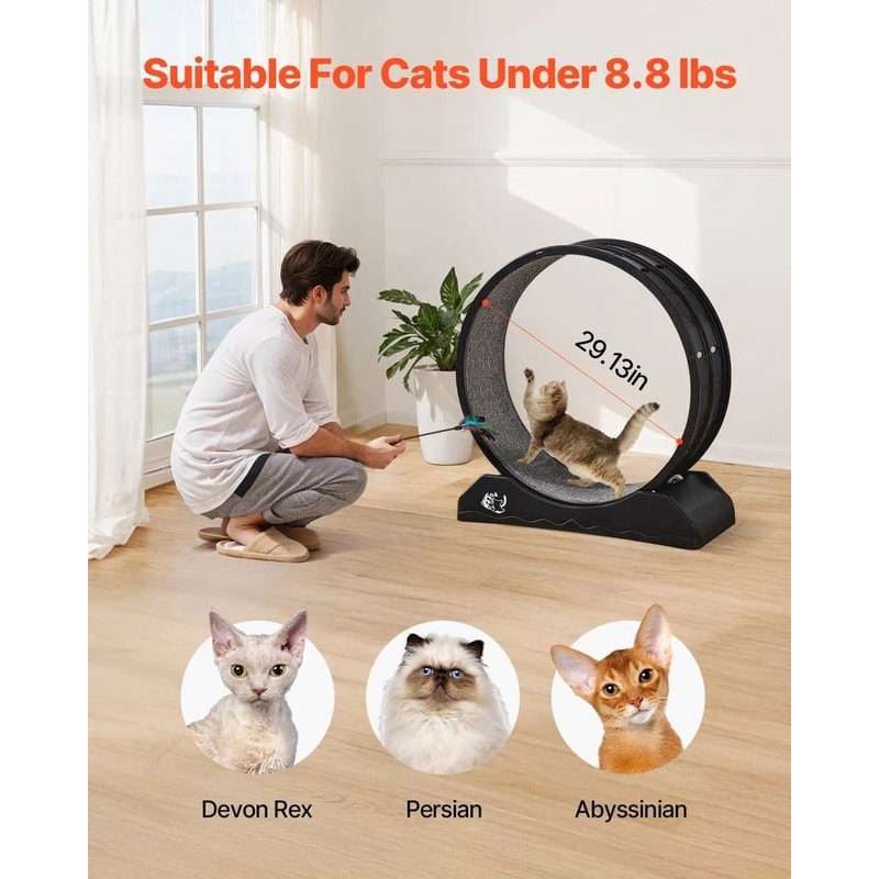 Large Cat Exercise Wheel Indoor Running Treadmill For Active Cats 2