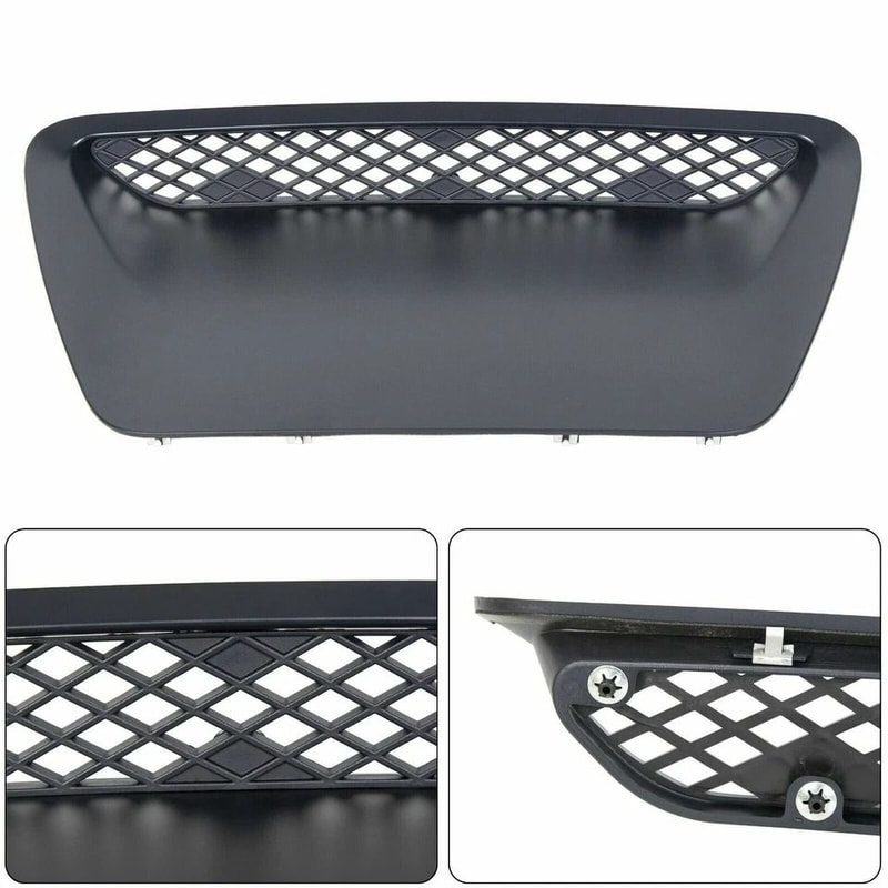 Hood Scoop Insert Paint To Match 1