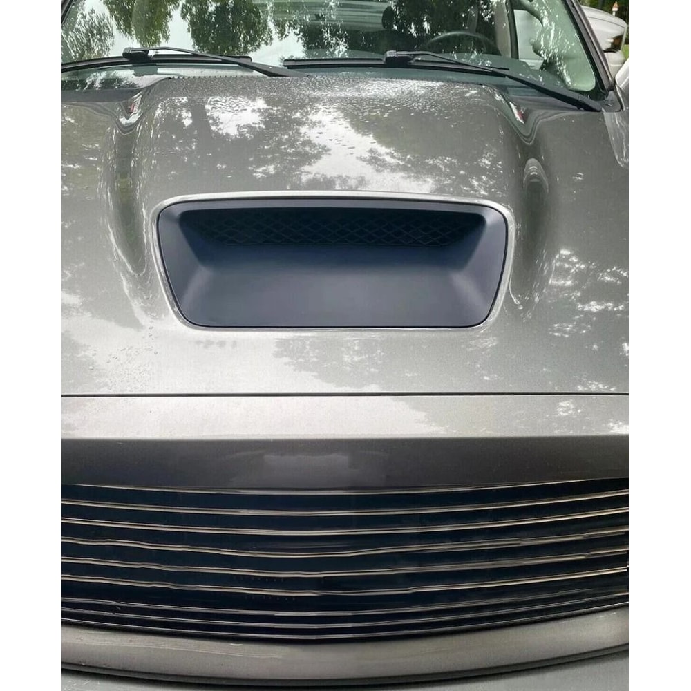 Hood Scoop Insert Paint To Match 2