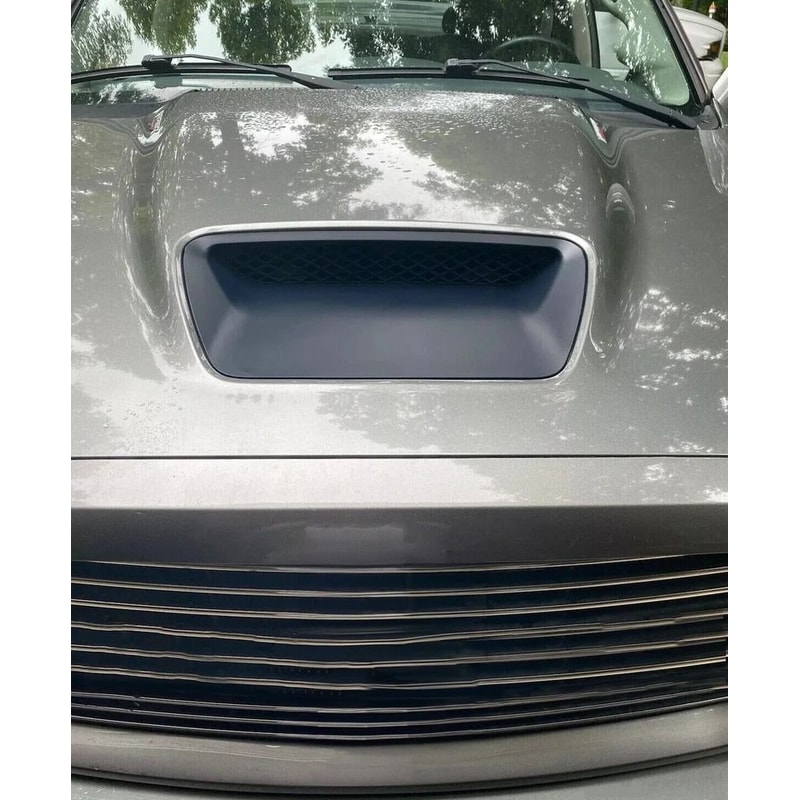 Hood Scoop Insert Paint To Match 2